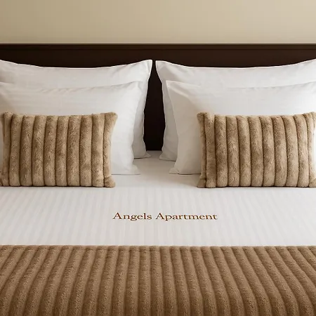 Angelo Maison